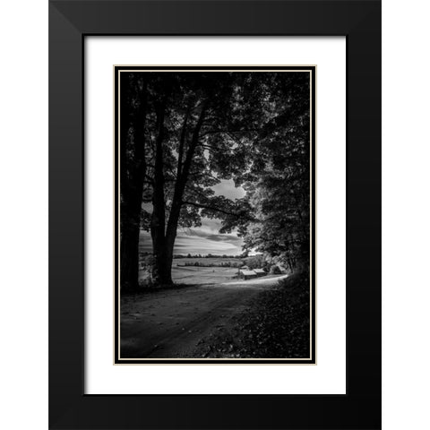Jenne Farm Tree Tunnel Black Modern Wood Framed Art Print with Double Matting by Rowland, Joseph