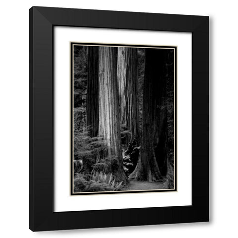Silence Black Modern Wood Framed Art Print with Double Matting by Rowland, Joseph