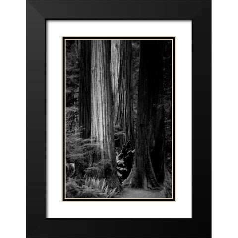 Silence Black Modern Wood Framed Art Print with Double Matting by Rowland, Joseph