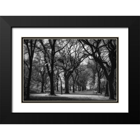 The Mall Black Modern Wood Framed Art Print with Double Matting by Rowland, Joseph