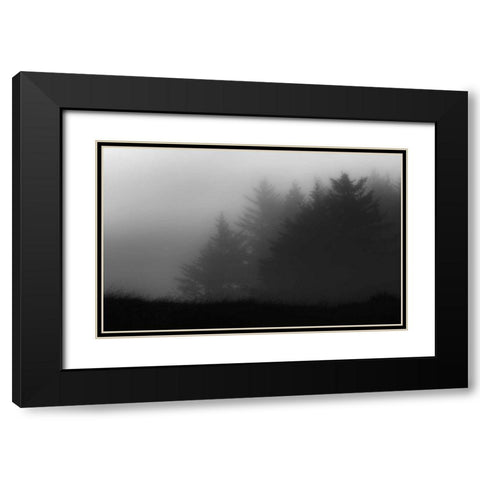 Trees In Fog Black Modern Wood Framed Art Print with Double Matting by Rowland, Joseph