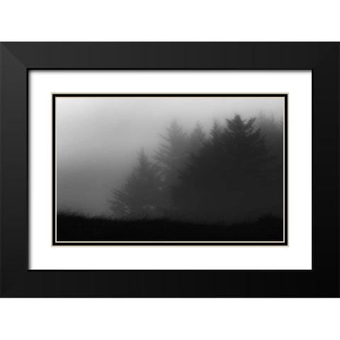 Trees In Fog Black Modern Wood Framed Art Print with Double Matting by Rowland, Joseph