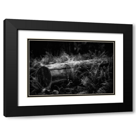 Fallen Black Modern Wood Framed Art Print with Double Matting by Rowland, Joseph
