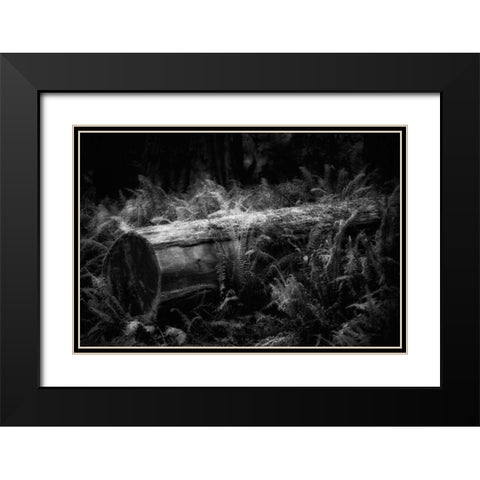 Fallen Black Modern Wood Framed Art Print with Double Matting by Rowland, Joseph