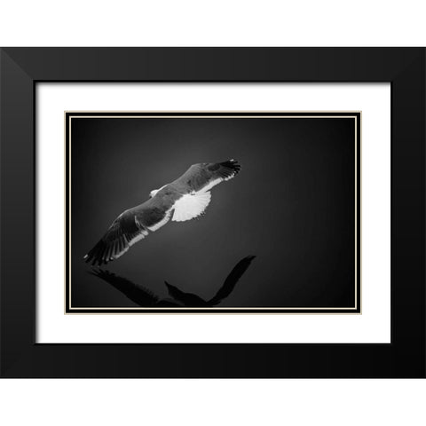 Flight Black Modern Wood Framed Art Print with Double Matting by Rowland, Joseph