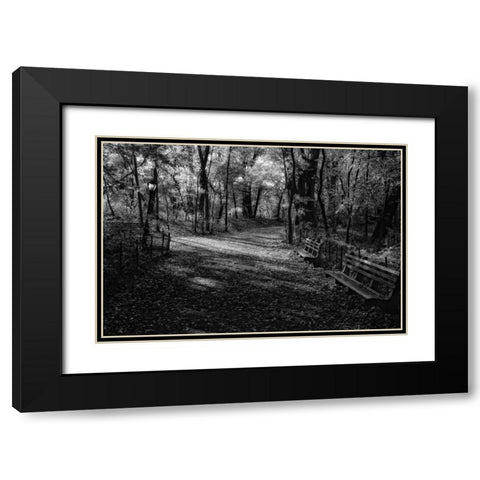 Quiet Path Black Modern Wood Framed Art Print with Double Matting by Rowland, Joseph