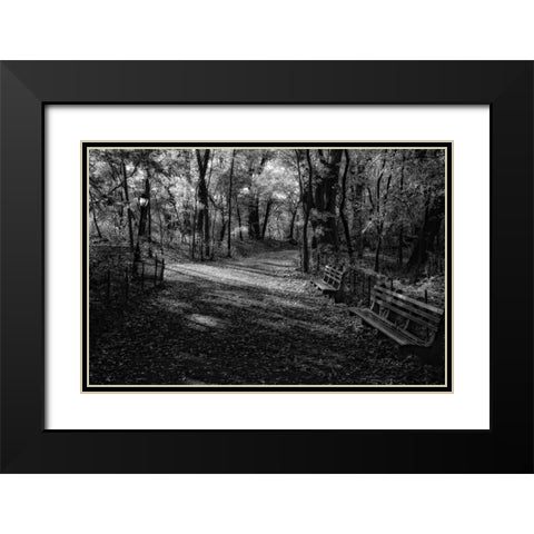 Quiet Path Black Modern Wood Framed Art Print with Double Matting by Rowland, Joseph