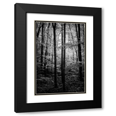 Grove Black Modern Wood Framed Art Print with Double Matting by Rowland, Joseph