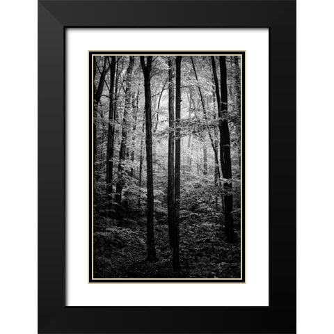 Grove Black Modern Wood Framed Art Print with Double Matting by Rowland, Joseph
