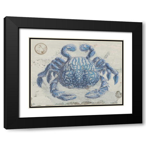 Mysterious Crustacean Black Modern Wood Framed Art Print with Double Matting by Lewis, Sheldon
