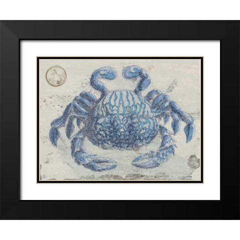 Mysterious Crustacean Black Modern Wood Framed Art Print with Double Matting by Lewis, Sheldon