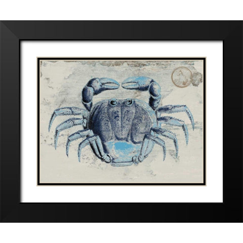 Mysterious Crustacean 2 Black Modern Wood Framed Art Print with Double Matting by Lewis, Sheldon