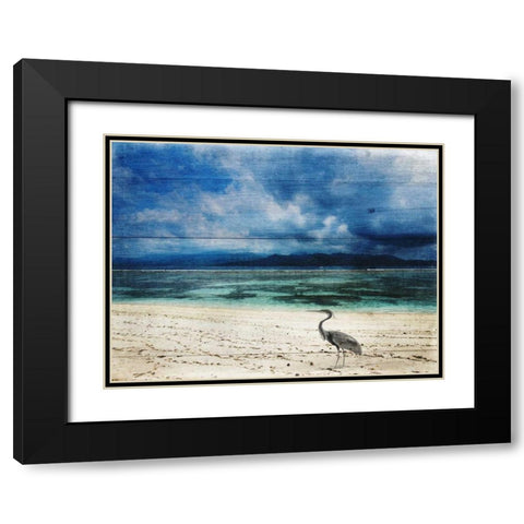 Coastal 2 Black Modern Wood Framed Art Print with Double Matting by Lewis, Sheldon