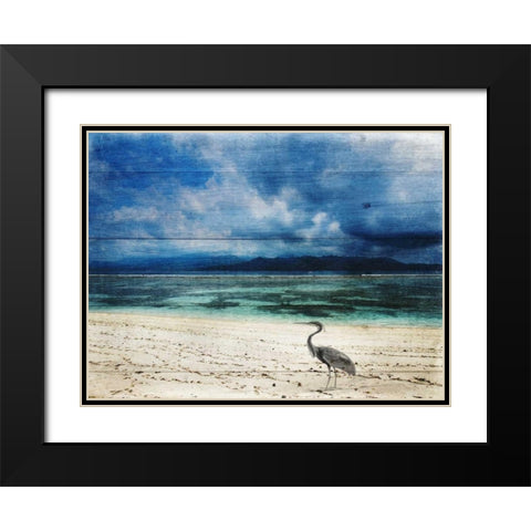Coastal 2 Black Modern Wood Framed Art Print with Double Matting by Lewis, Sheldon