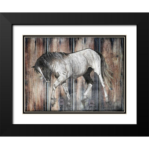 Farm Horse Black Modern Wood Framed Art Print with Double Matting by Lewis, Sheldon