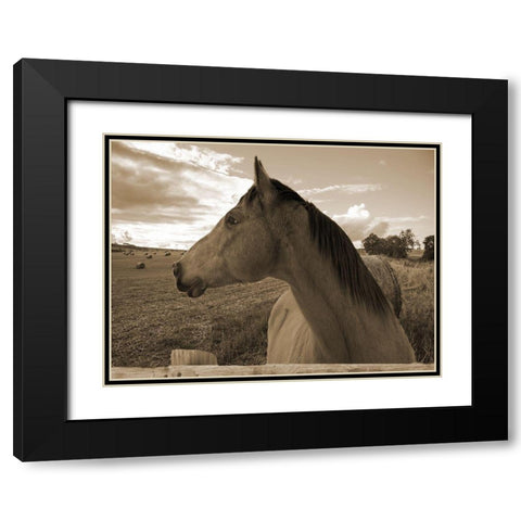 Ranch Black Modern Wood Framed Art Print with Double Matting by Lewis, Sheldon