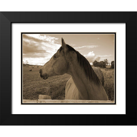Ranch Black Modern Wood Framed Art Print with Double Matting by Lewis, Sheldon