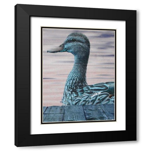 Aqua Duck Black Modern Wood Framed Art Print with Double Matting by Lewis, Sheldon