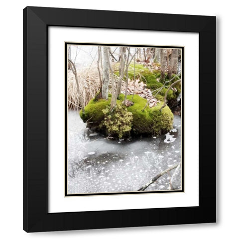 Winter Bog Black Modern Wood Framed Art Print with Double Matting by Unknown