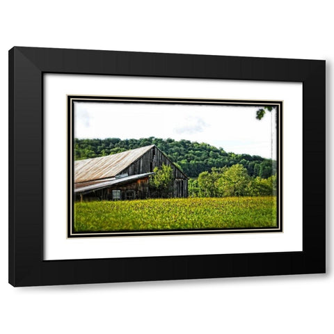 Country Barn 4 Black Modern Wood Framed Art Print with Double Matting by Foschino, Suzanne