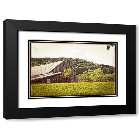 Country Barn 4 Vintage Black Modern Wood Framed Art Print with Double Matting by Foschino, Suzanne