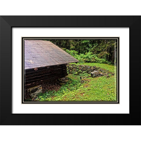 Deep Woods Lean To Vintage Black Modern Wood Framed Art Print with Double Matting by Foschino, Suzanne