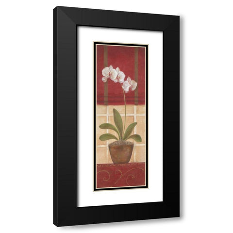 Window Wonders II Black Modern Wood Framed Art Print with Double Matting by Tava Studios