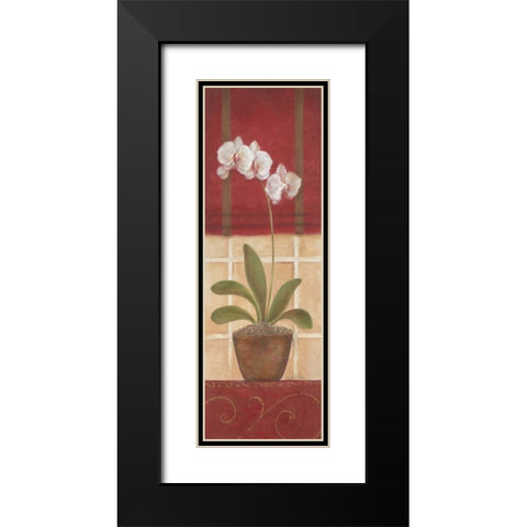 Window Wonders II Black Modern Wood Framed Art Print with Double Matting by Tava Studios