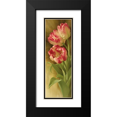 Springs Parrot Tulip I Black Modern Wood Framed Art Print with Double Matting by Levashov, Igor