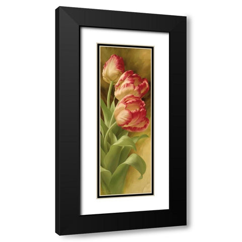 Springs Parrot Tulip II Black Modern Wood Framed Art Print with Double Matting by Levashov, Igor