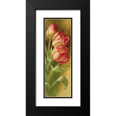 Springs Parrot Tulip II Black Modern Wood Framed Art Print with Double Matting by Levashov, Igor