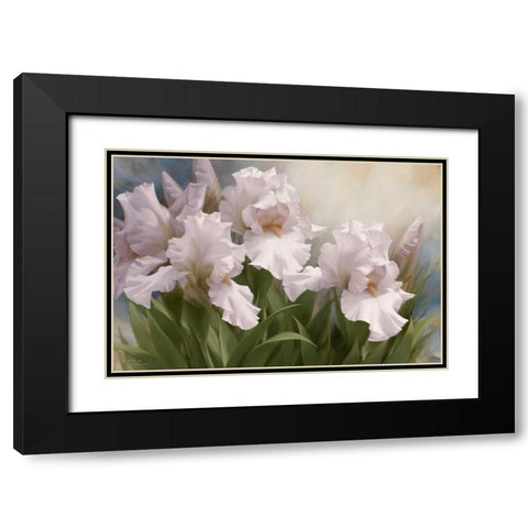 White Iris Elegance I Black Modern Wood Framed Art Print with Double Matting by Levashov, Igor