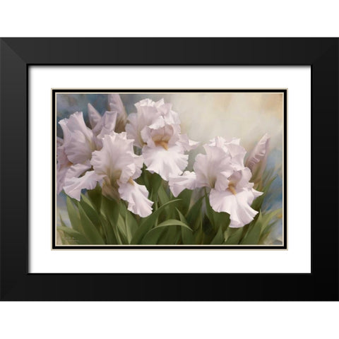 White Iris Elegance I Black Modern Wood Framed Art Print with Double Matting by Levashov, Igor