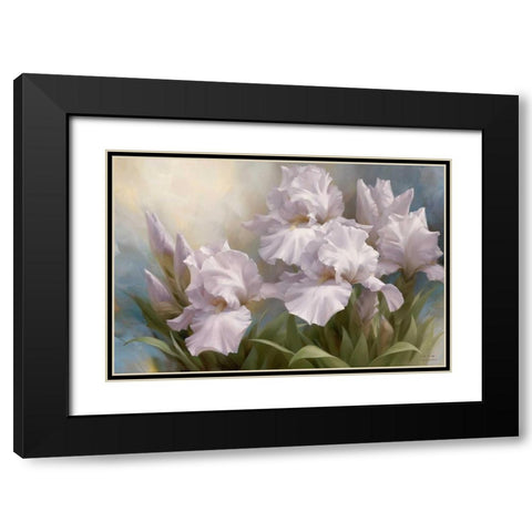 White Iris Elegance II Black Modern Wood Framed Art Print with Double Matting by Levashov, Igor