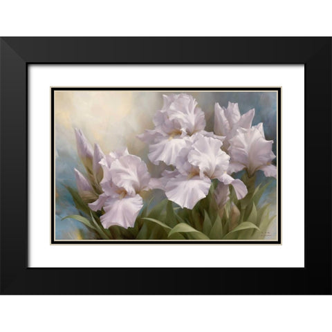 White Iris Elegance II Black Modern Wood Framed Art Print with Double Matting by Levashov, Igor