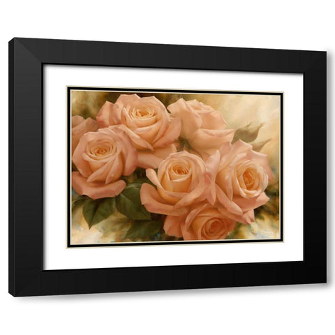 Peach Rose Splendor II Black Modern Wood Framed Art Print with Double Matting by Levashov, Igor