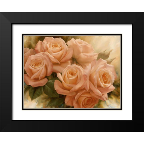 Peach Rose Splendor II Black Modern Wood Framed Art Print with Double Matting by Levashov, Igor