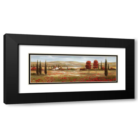 Tuscan Poppies II Black Modern Wood Framed Art Print with Double Matting by Nan