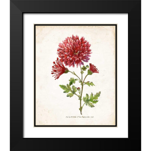Botanical III Black Modern Wood Framed Art Print with Double Matting by Nan
