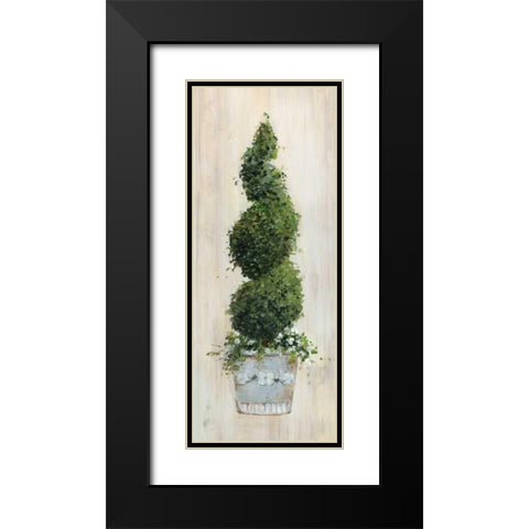 Spiral Topiary Black Modern Wood Framed Art Print with Double Matting by Swatland, Sally