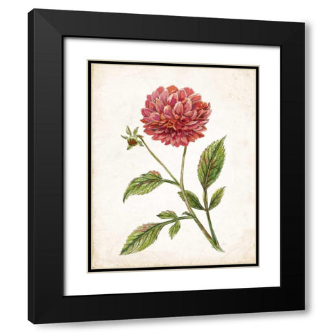 Scarlet Botanical I Black Modern Wood Framed Art Print with Double Matting by Nan