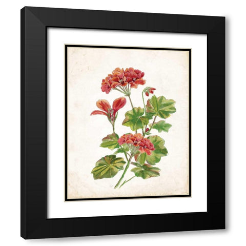 Scarlet Botanical II Black Modern Wood Framed Art Print with Double Matting by Nan