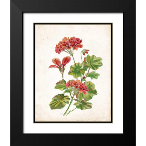 Scarlet Botanical II Black Modern Wood Framed Art Print with Double Matting by Nan