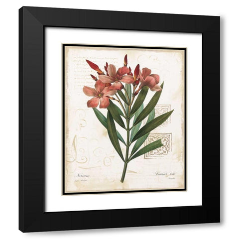 Laurier Rose Black Modern Wood Framed Art Print with Double Matting by Robinson, Carol