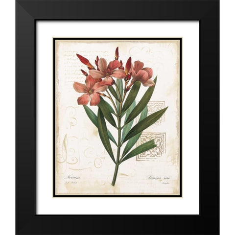 Laurier Rose Black Modern Wood Framed Art Print with Double Matting by Robinson, Carol