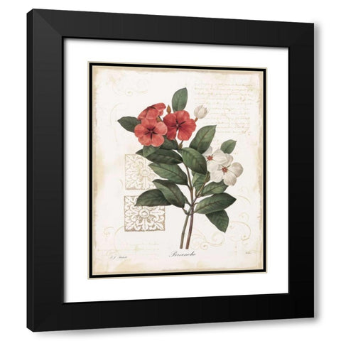 Pervenche Black Modern Wood Framed Art Print with Double Matting by Robinson, Carol