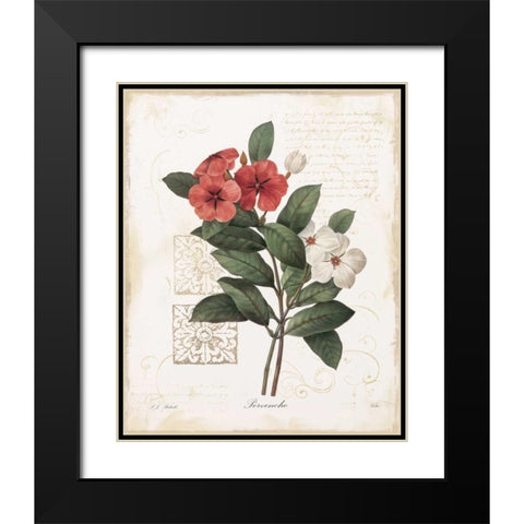 Pervenche Black Modern Wood Framed Art Print with Double Matting by Robinson, Carol