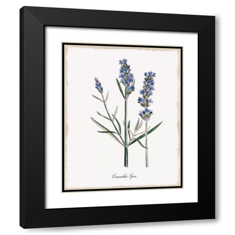 Lavender Black Modern Wood Framed Art Print with Double Matting by Donovan, Kelly