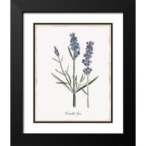 Lavender Black Modern Wood Framed Art Print with Double Matting by Donovan, Kelly