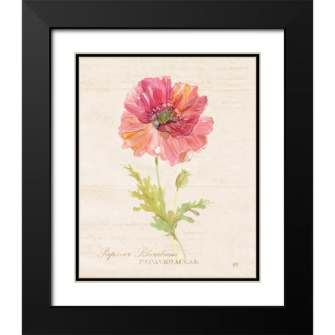 Botanical Poppy Black Modern Wood Framed Art Print with Double Matting by Robinson, Carol